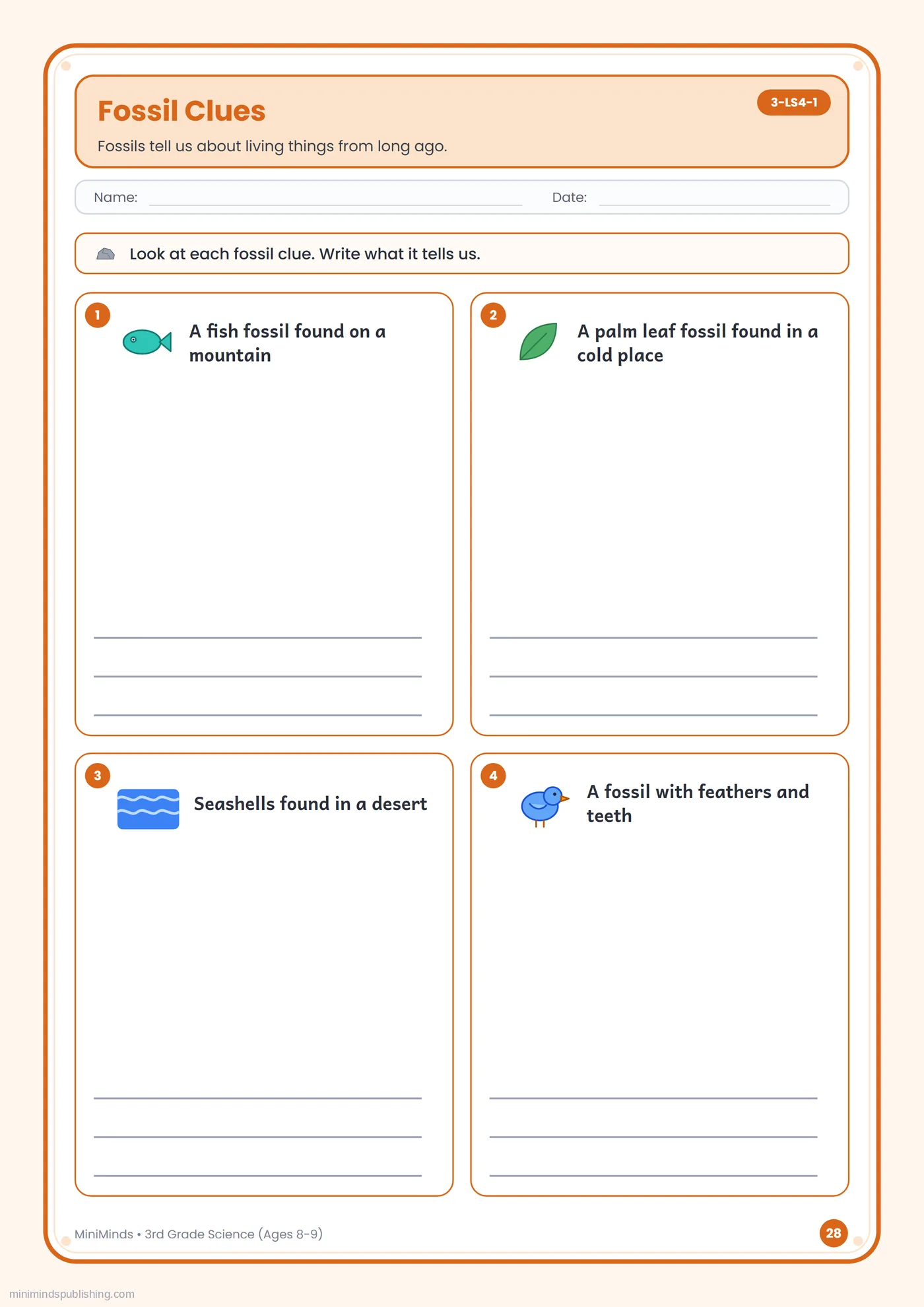 Fossil Clues — free printable 3rd Grade science worksheet for ages 8-9