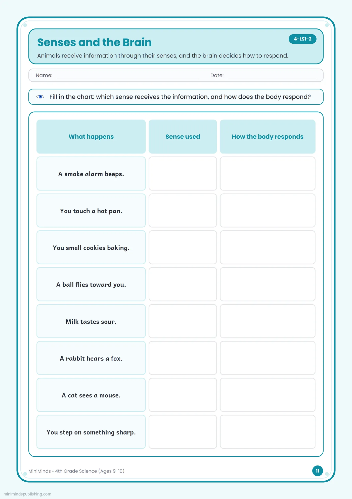 Senses and the Brain — free printable 4th Grade science worksheet for ages 9-10
