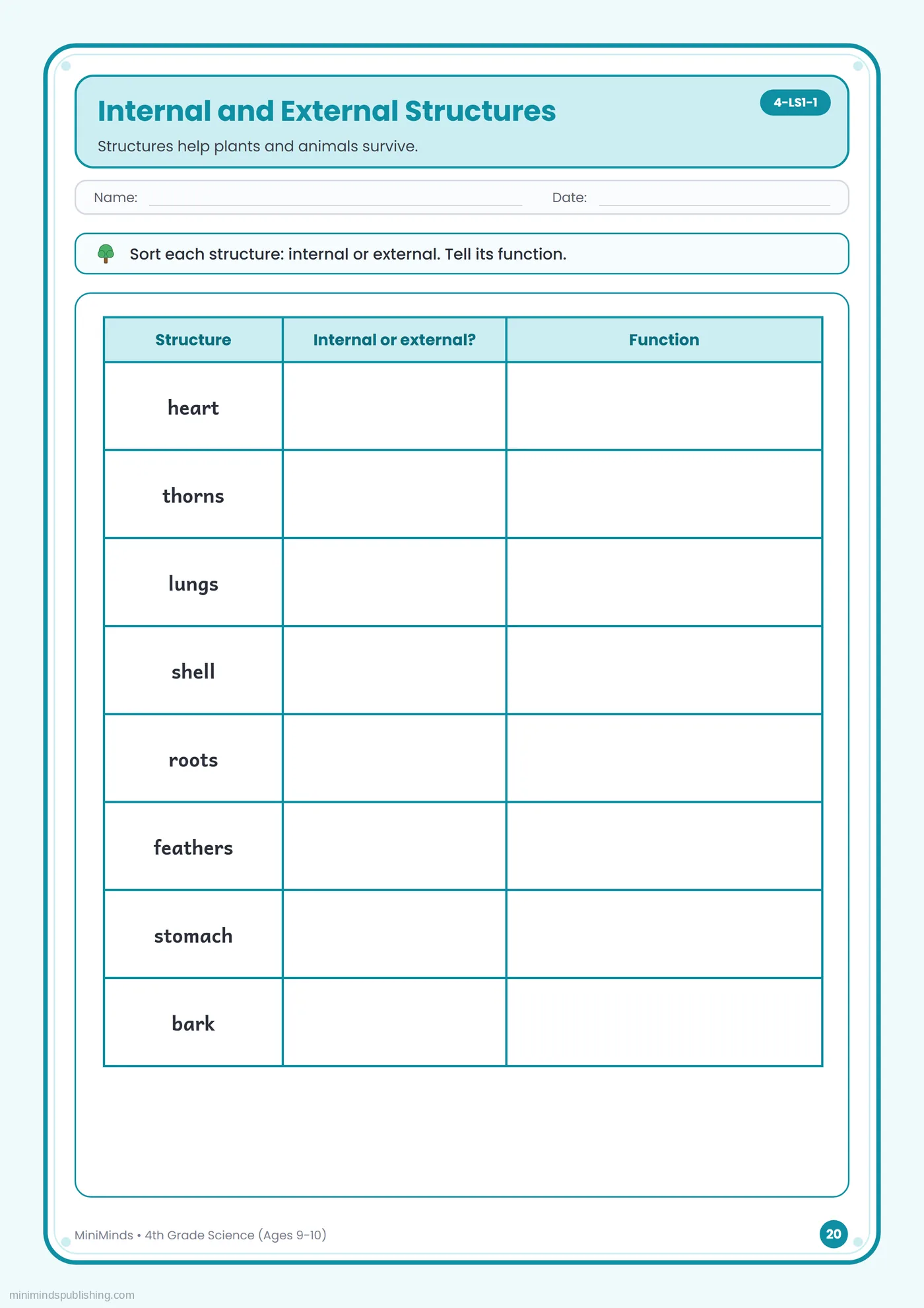 Internal and External Structures — free printable 4th Grade science worksheet for ages 9-10