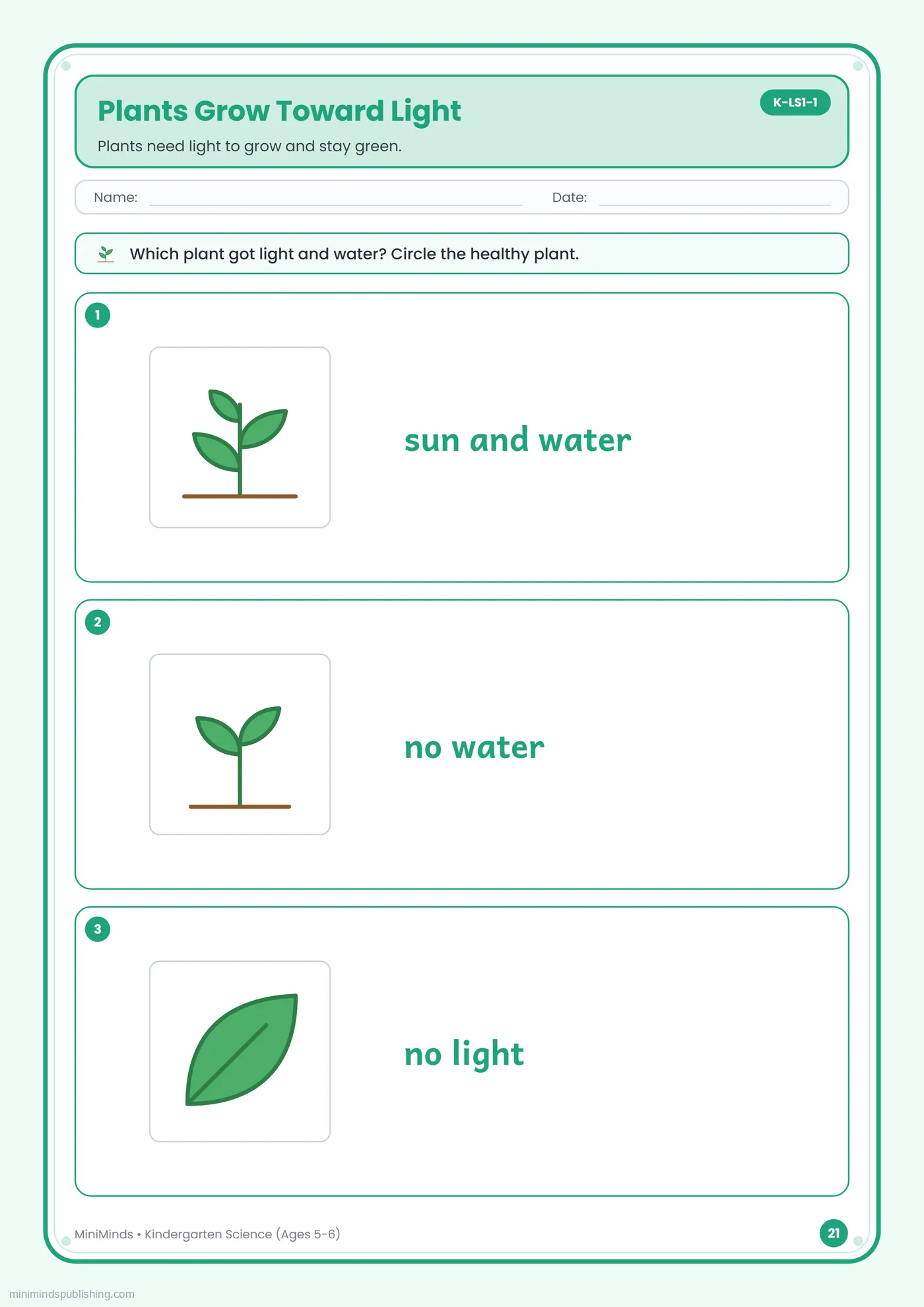 Plants Grow Toward Light — free printable Kindergarten science worksheet for ages 5-6